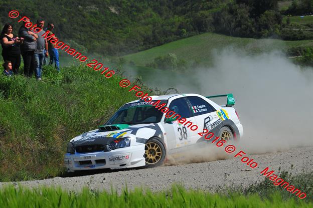 DSC_1200.JPG